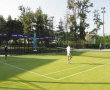 Poze Tern de Tenis